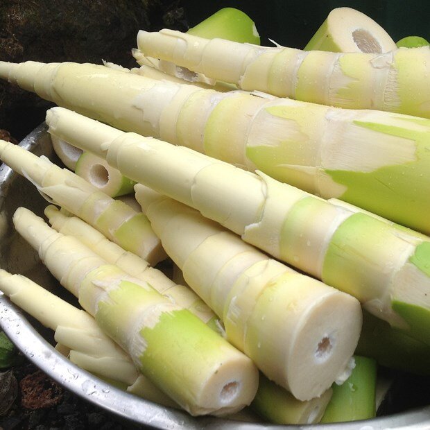 Learn Mai Chau’s food heritage with expert insights